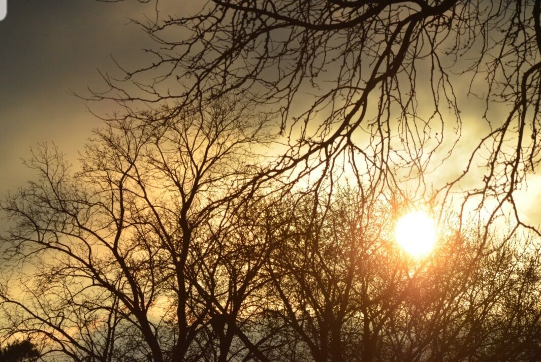 Sunrise in the neighborhood